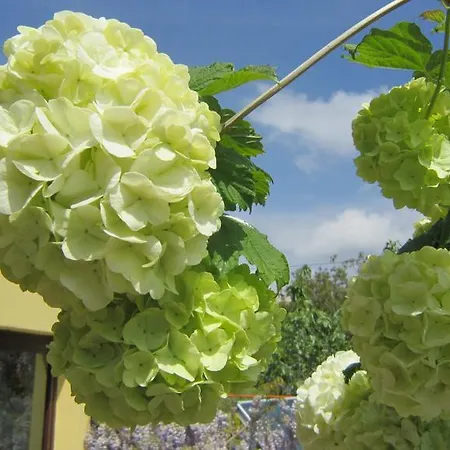 Ermis Appartamento Kalamítsi