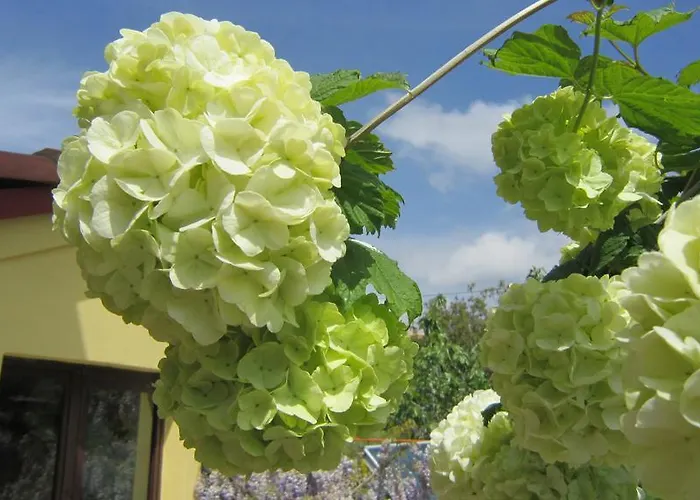 Ermis Lägenhet Kalamítsi